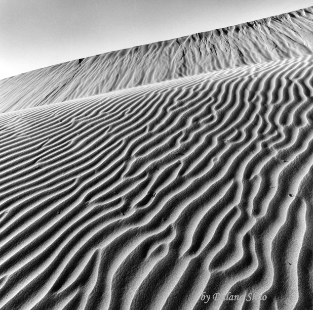 Ejin Banner, Inner Mongolia (7)