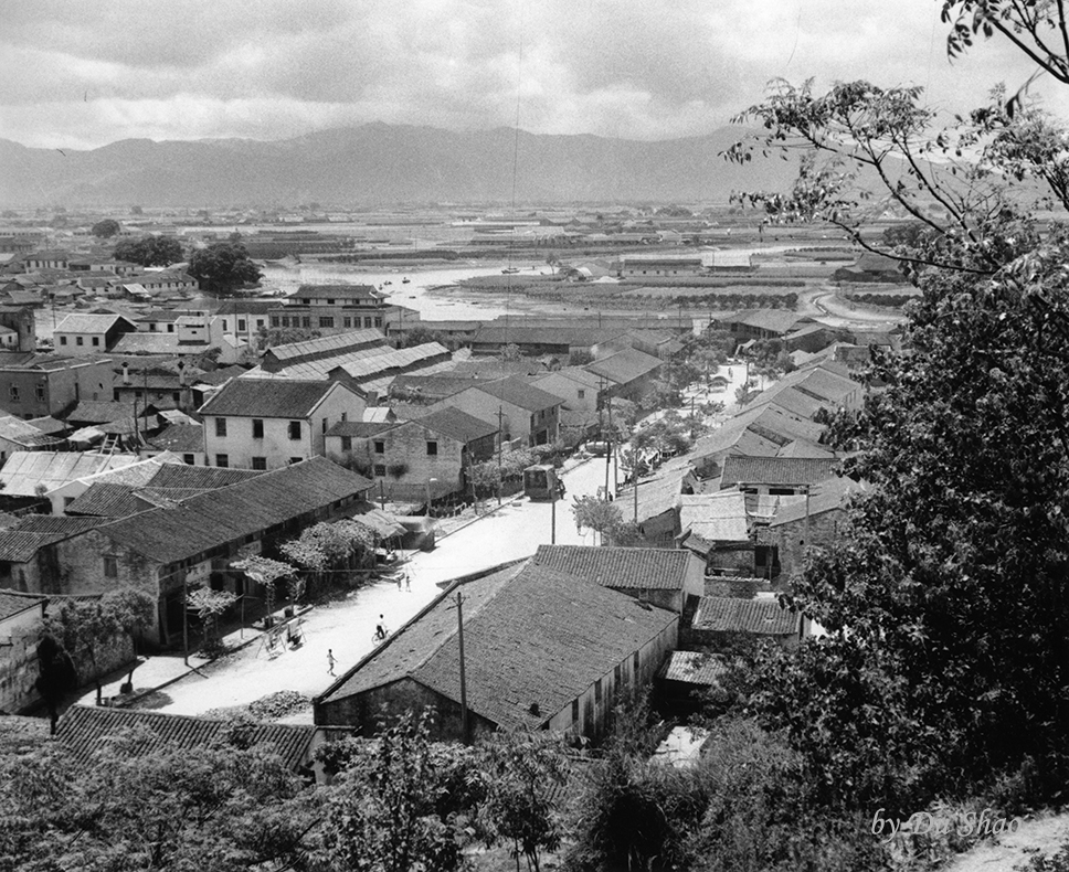 1950年代